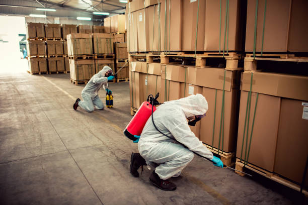 Best Exterminator Services  in Lewiston, CA