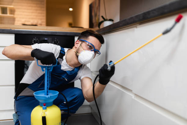  Lewiston, CA Pest Control Pros
