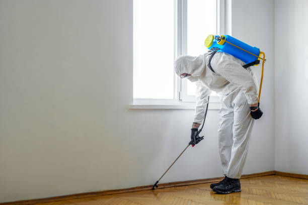 Pest Prevention Services in Lewiston, CA