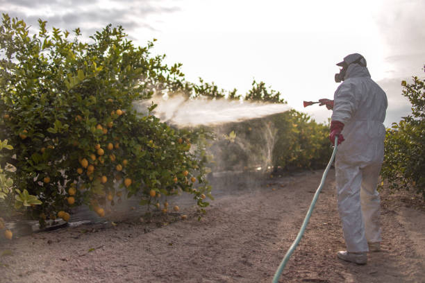 Best Mosquito Control Services  in Lewiston, CA