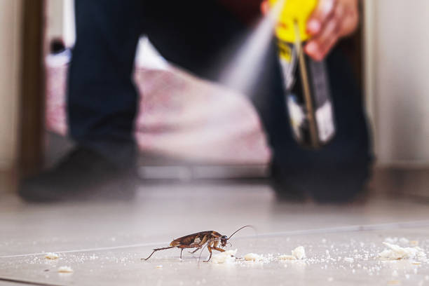 Best Best Pest Control Companies  in Lewiston, CA