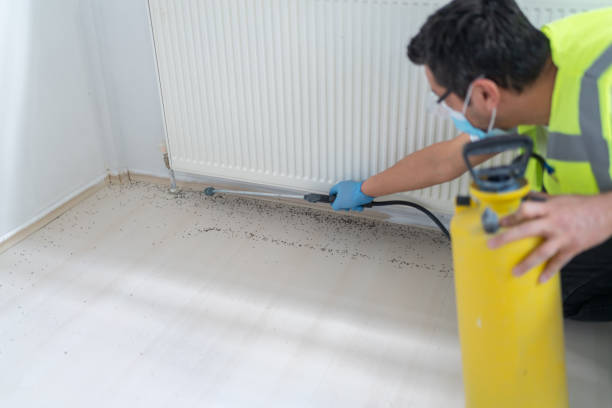 Reliable Lewiston, CA Pest Control Solutions